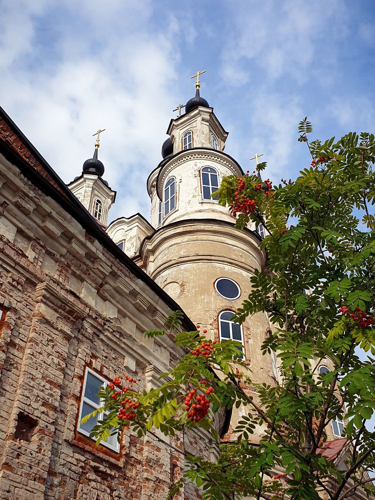 Photograph by Татьяна Лышенко