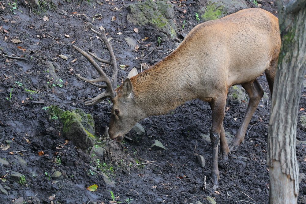Photograph by Dmitriy Marchenko
