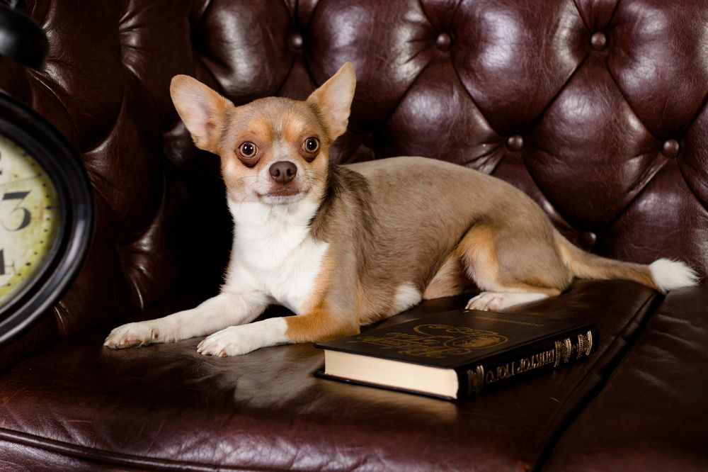 Photograph by Julia Borska