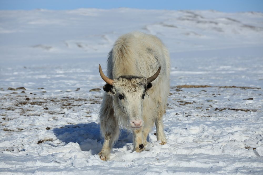 Photograph by Dmitriy Marchenko