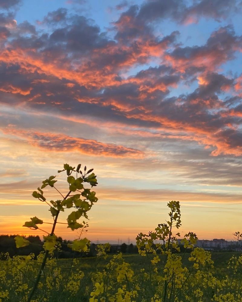 Photograph by Анатолий Андреев