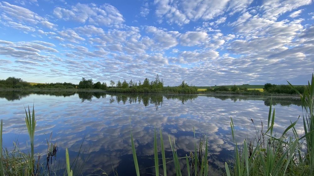 Photograph by Анатолий Андреев