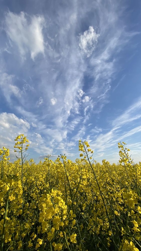 Photograph by Анатолий Андреев