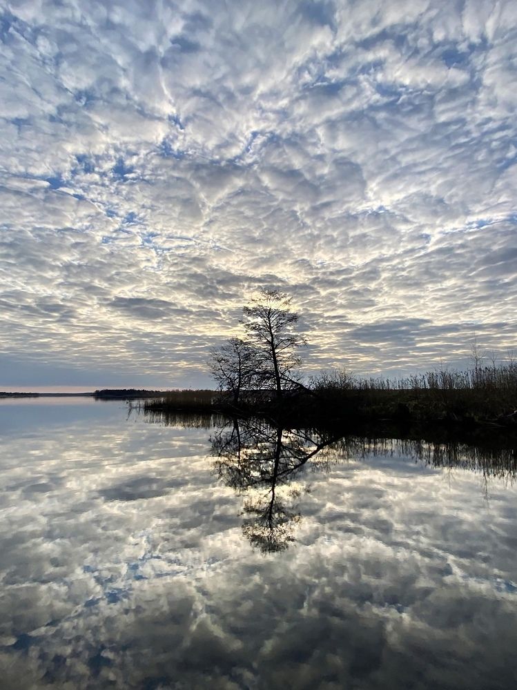 Photograph by Анатолий Андреев