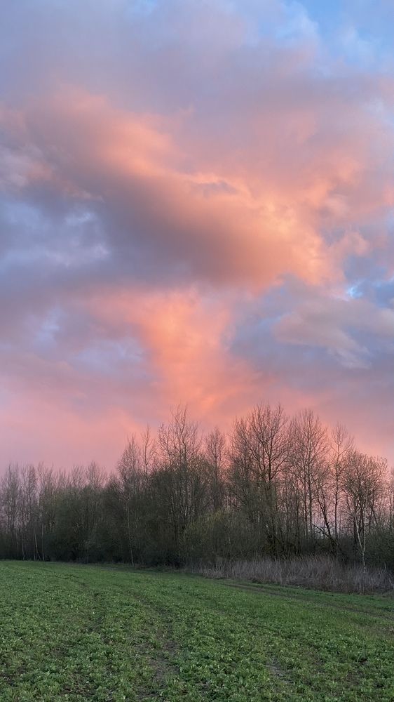 Photograph by Анатолий Андреев