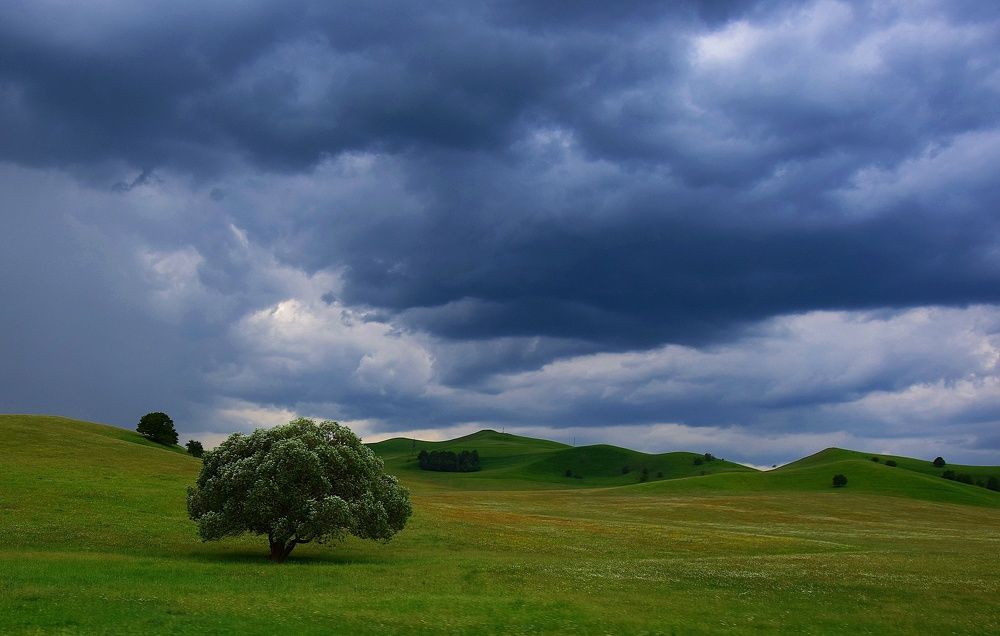 Photograph by Margo Margo