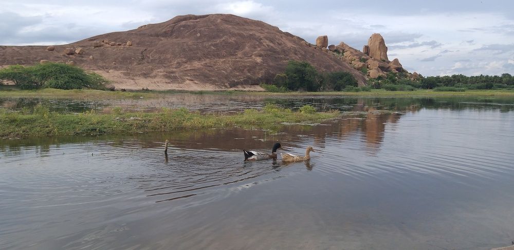 Photograph by B.Dhana sekaran