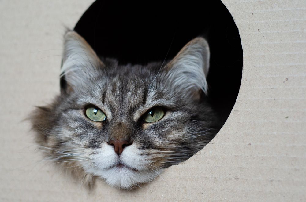 Photograph by Анастасия Кашенко