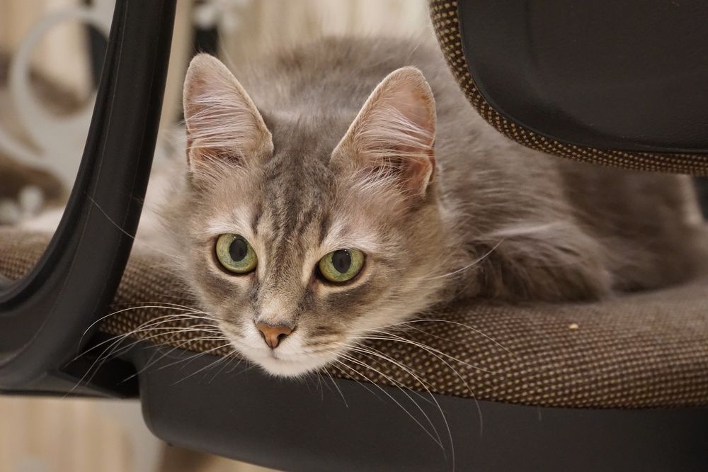 Photograph by Виктория Лаур