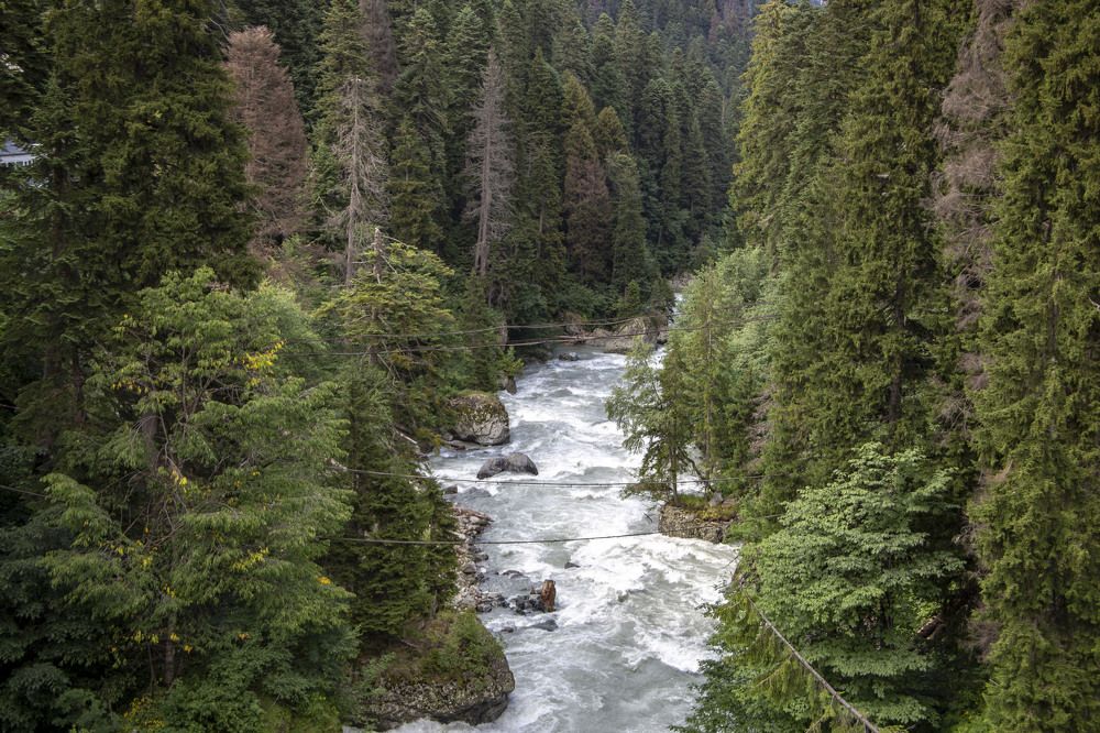 Photograph by Ислам Хачиров