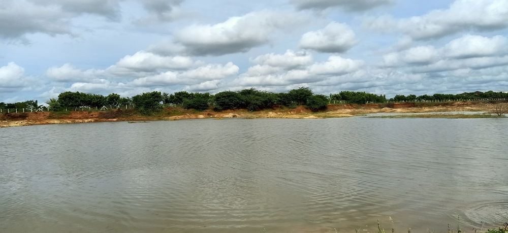 Photograph by B.Dhana sekaran