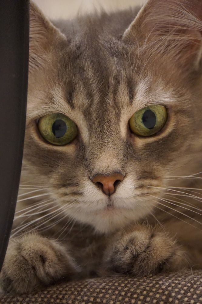 Photograph by Виктория Лаур