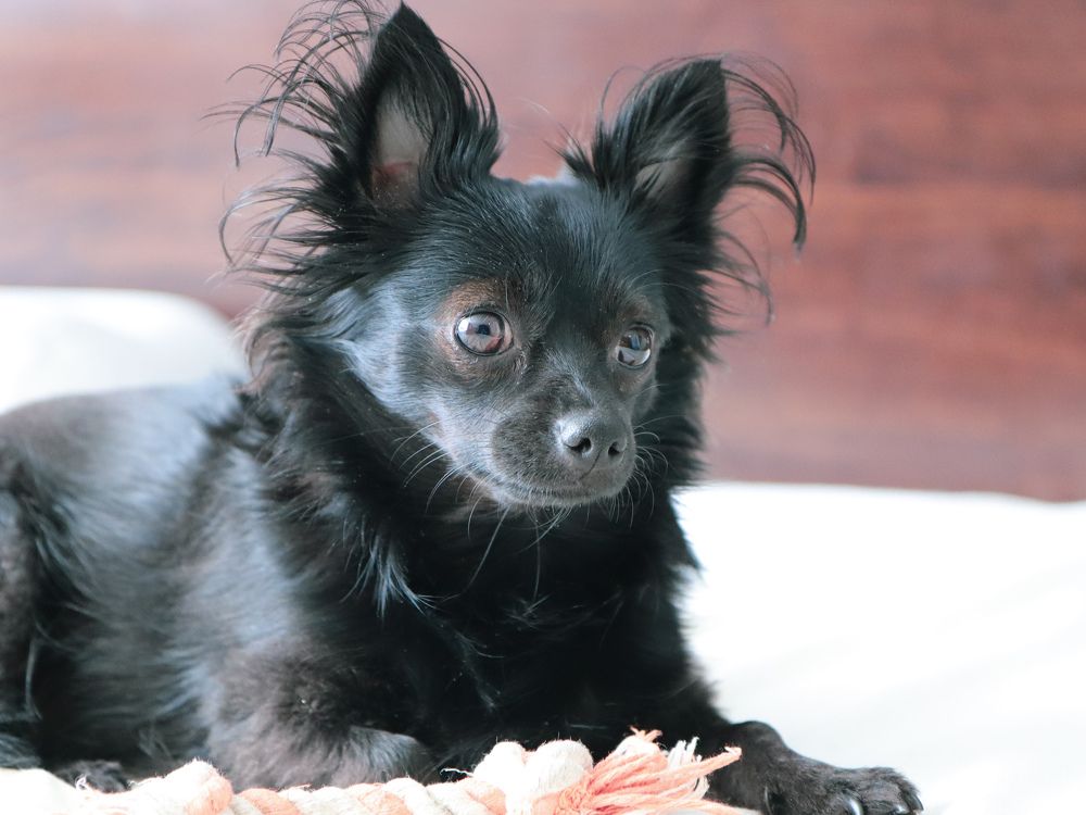 Photograph by Екатерина Слепнева