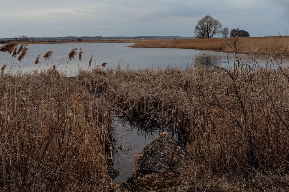 Photograph by Юлия Ефимова