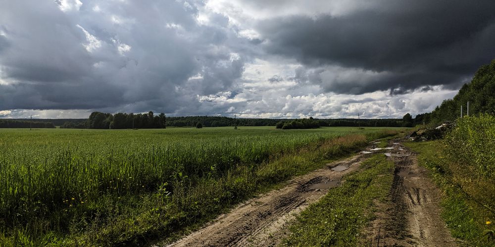 Photograph by Александр Курылёв