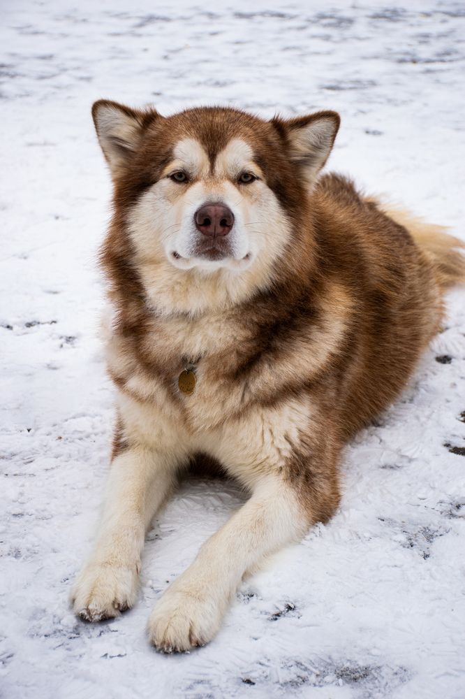 Photograph by Галина Эмберг