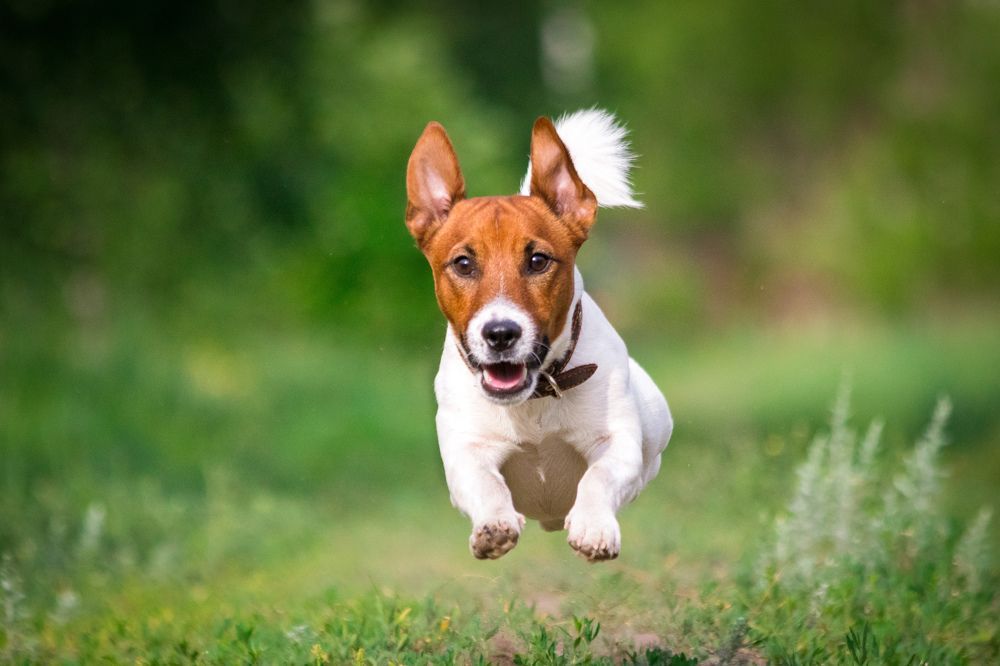 Photograph by Дмитрий Тимин