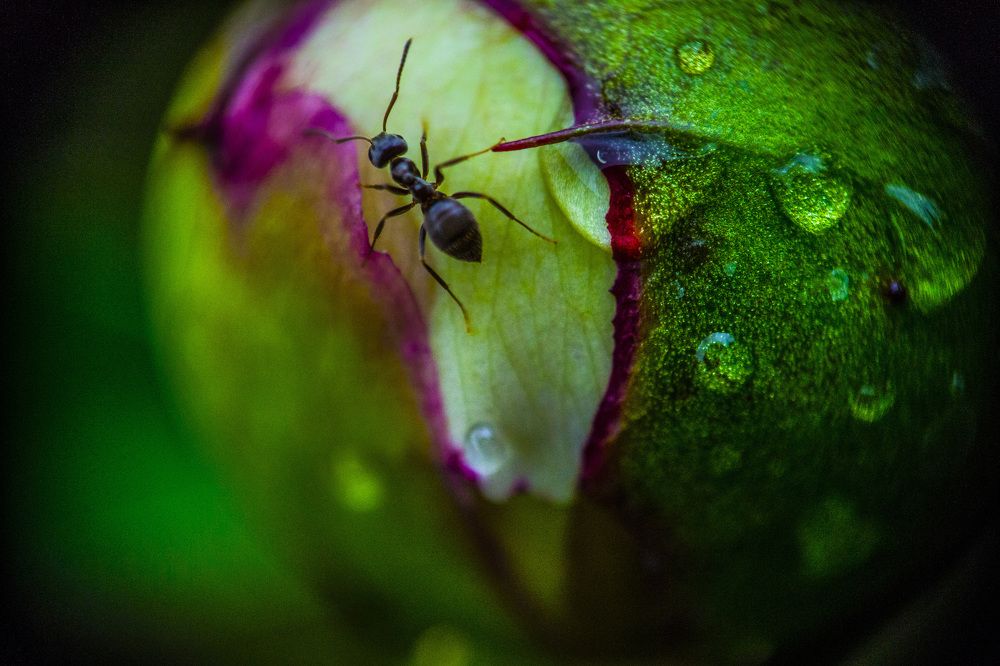 Photograph by Евгения Михайлова