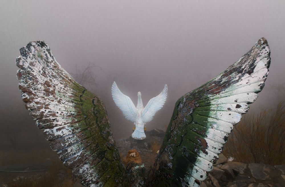 Фотография автора Abbas Ahmadi