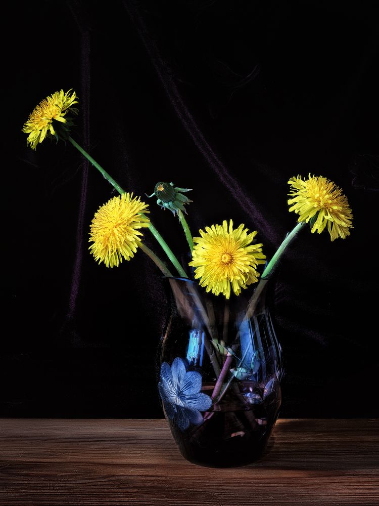 Одуванчики