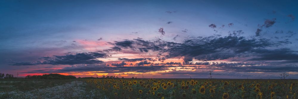 Photograph by Денис Кошкин