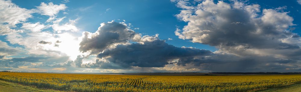 Photograph by Денис Кошкин