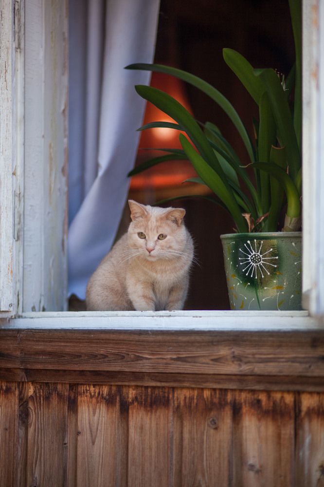 Photograph by Светлана Кавказская