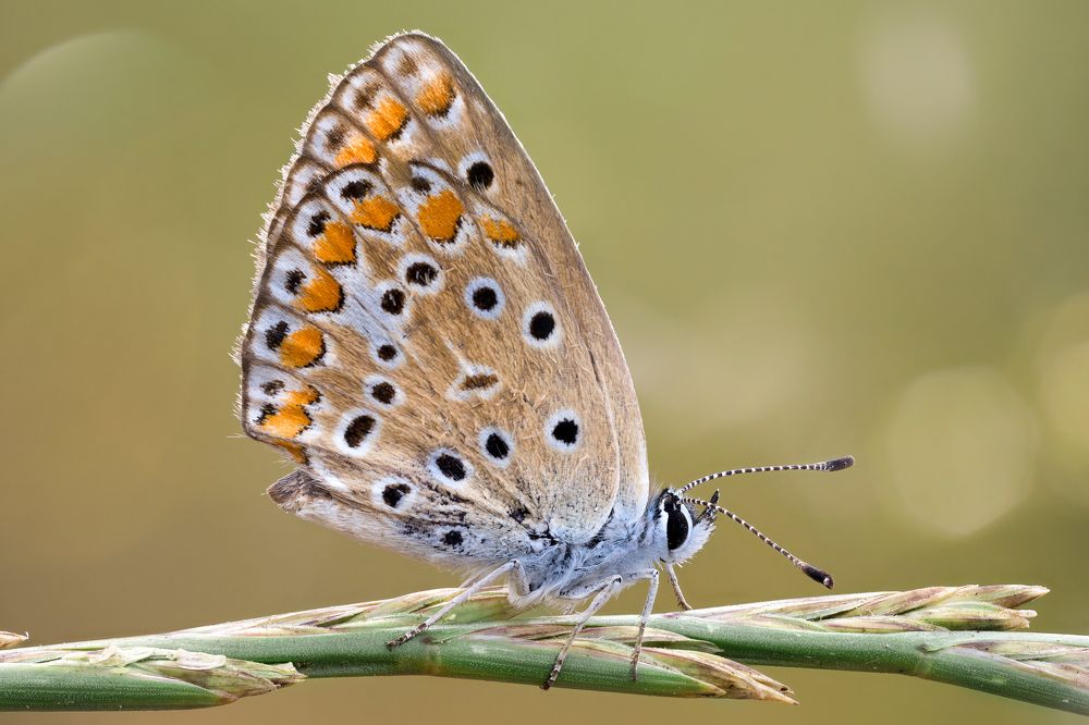 Photograph by Andrey Ostapenko