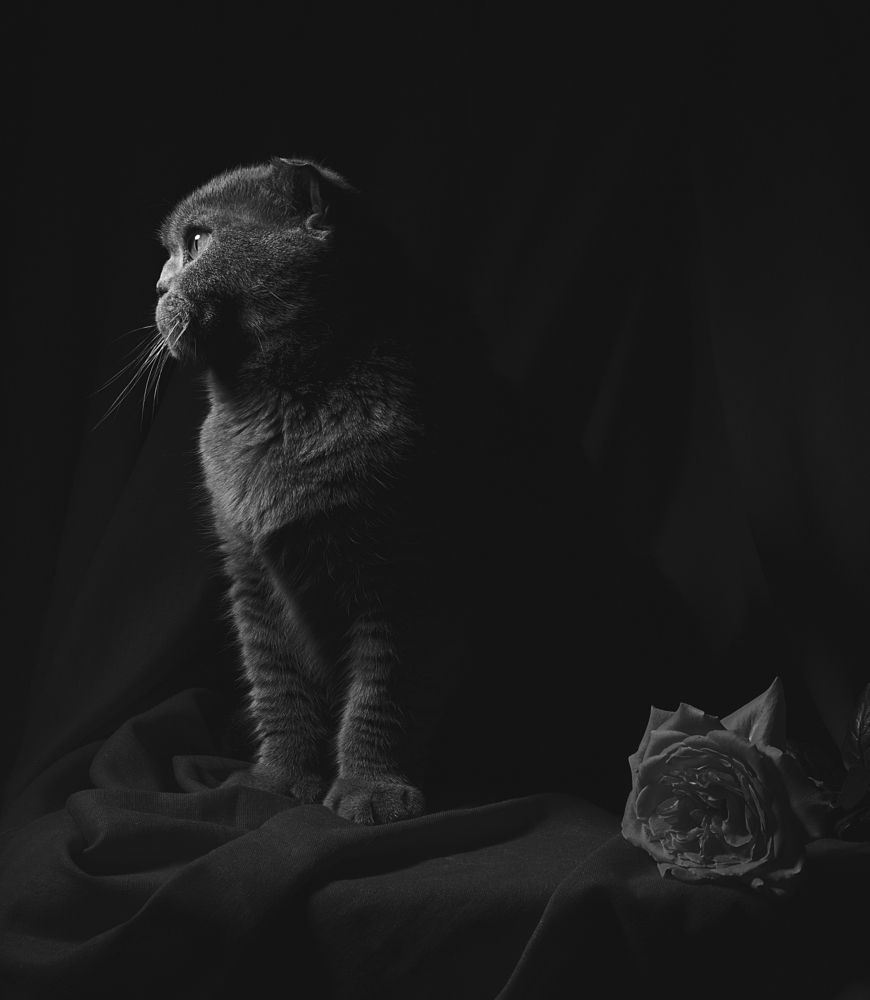 Photograph by Александр Замятин