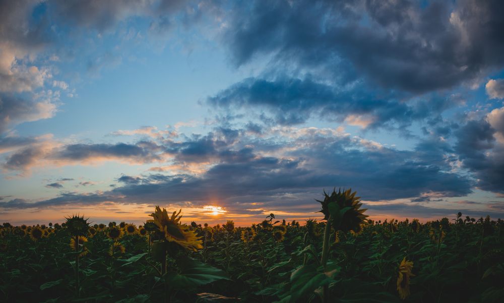 Photograph by Денис Кошкин