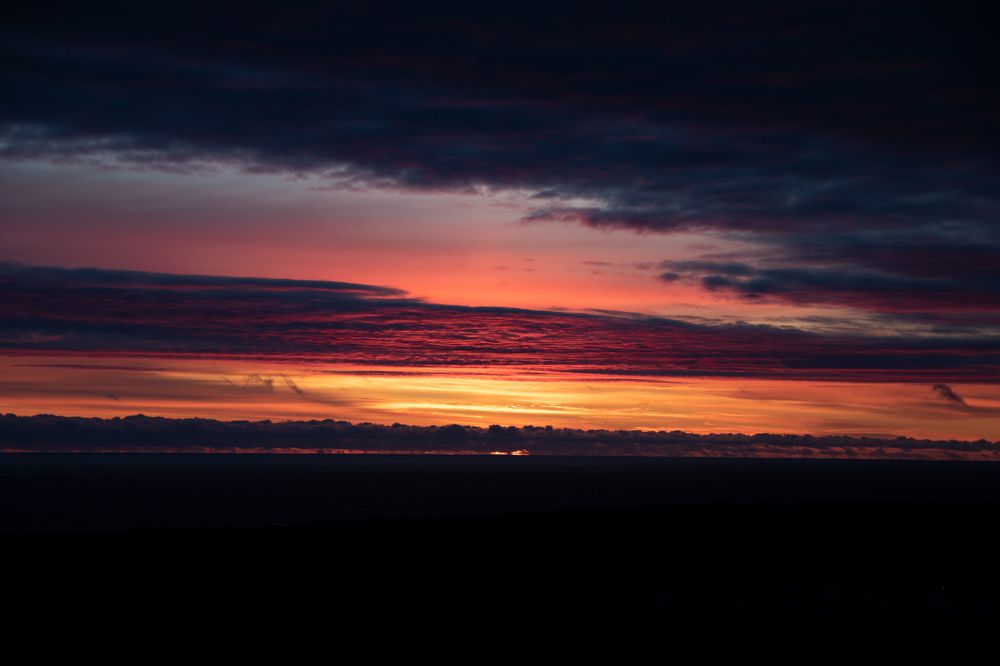 Photograph by Элен Рай