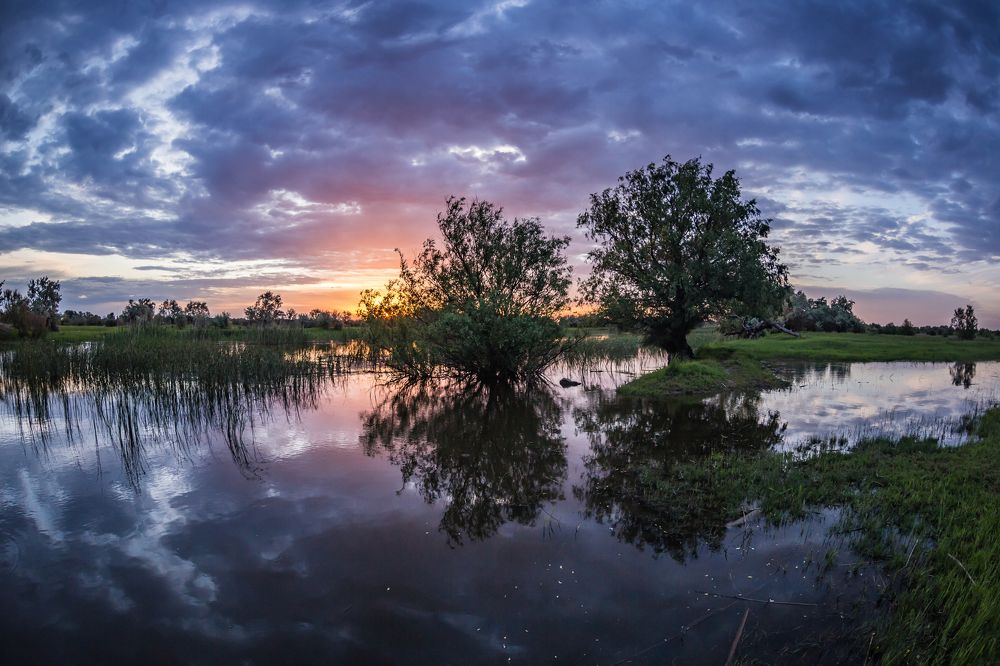 Photograph by Дмитрий Власов