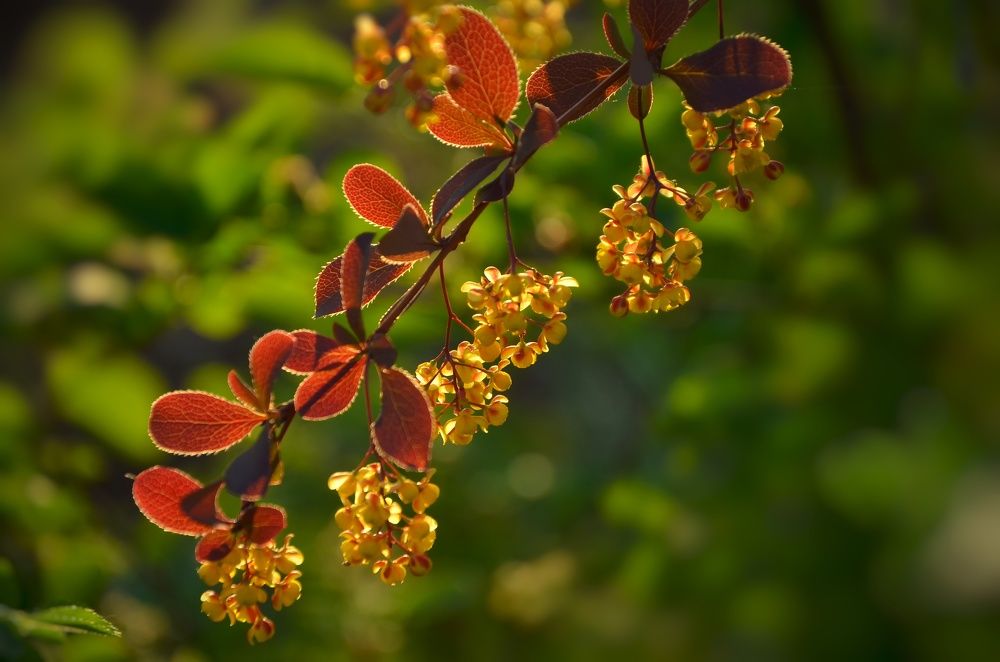 Photograph by Ольга Айдагулова