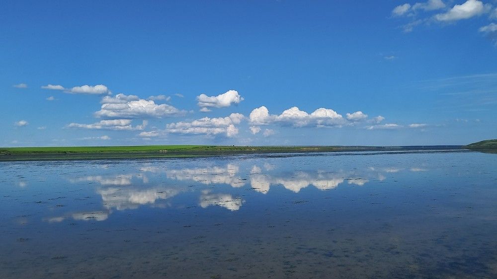 Разделительная полоса.