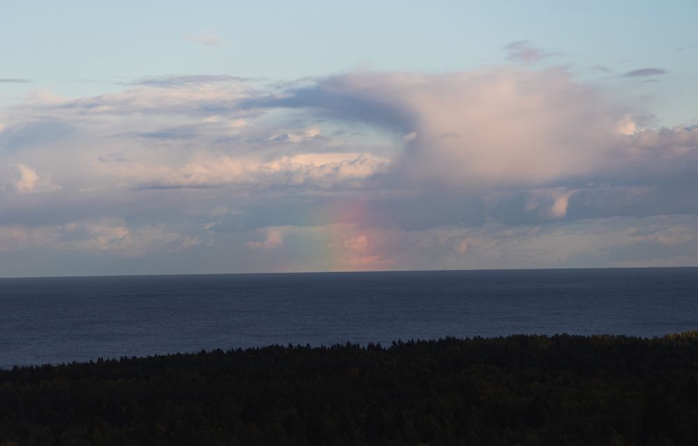 Photograph by Элен Рай