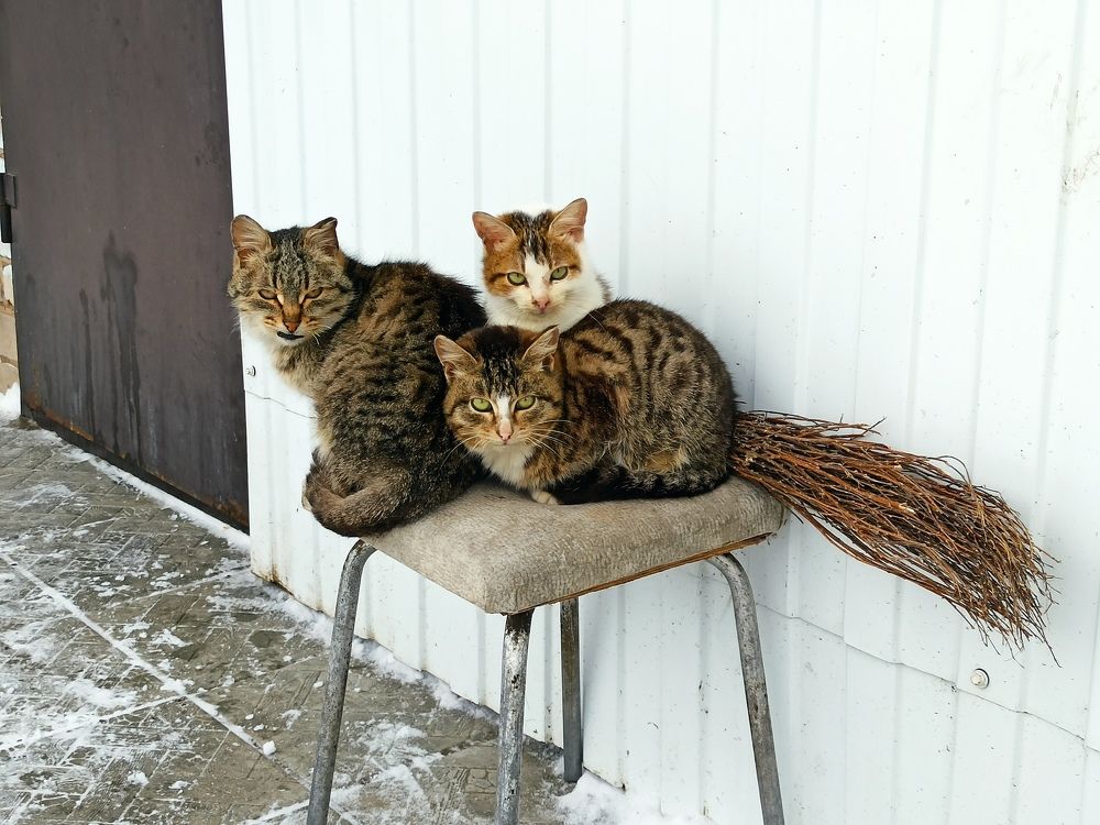 Photograph by Андрей Мертвищев