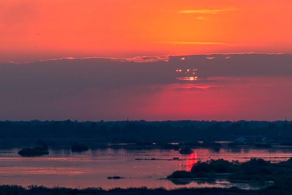 Photograph by Кристина Кудрявцева