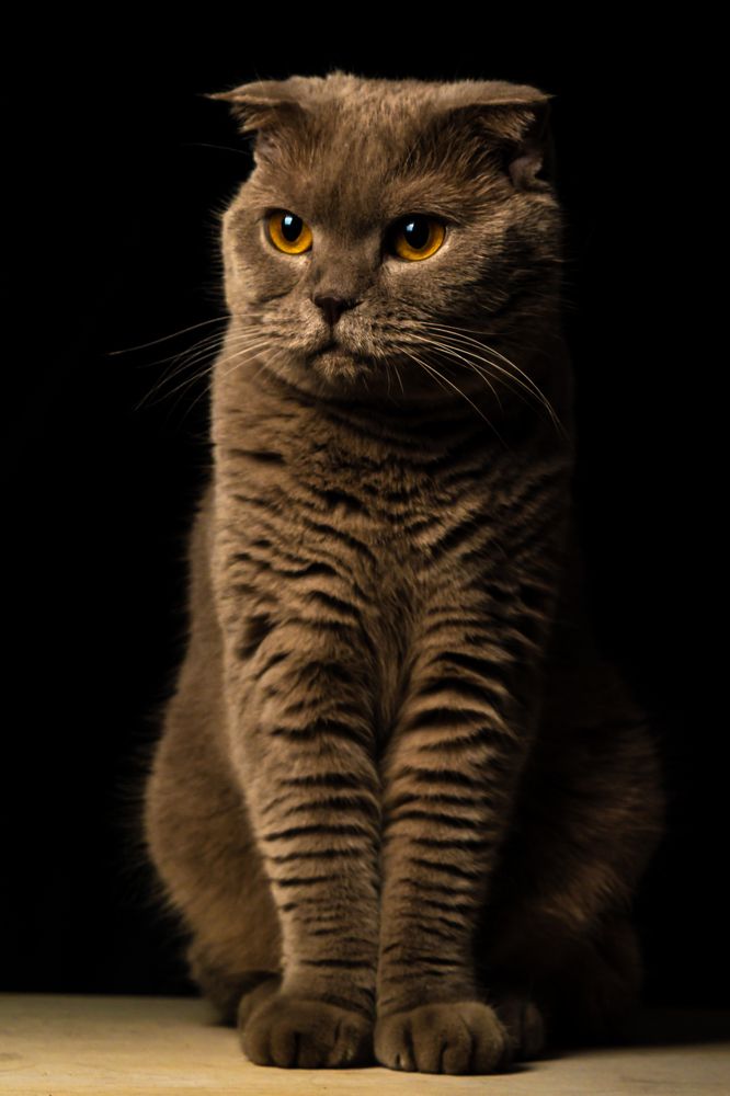 Photograph by Павел Спиваков