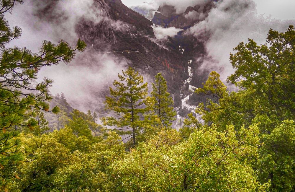 Photograph by Владимир Гречанинов