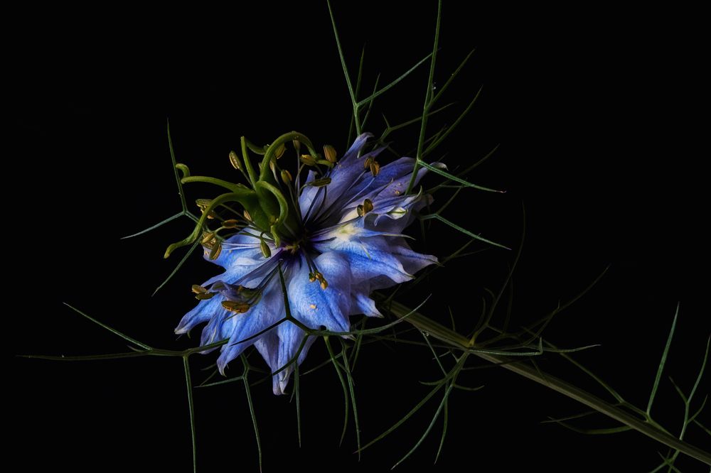 Photograph by Владимир Кваша