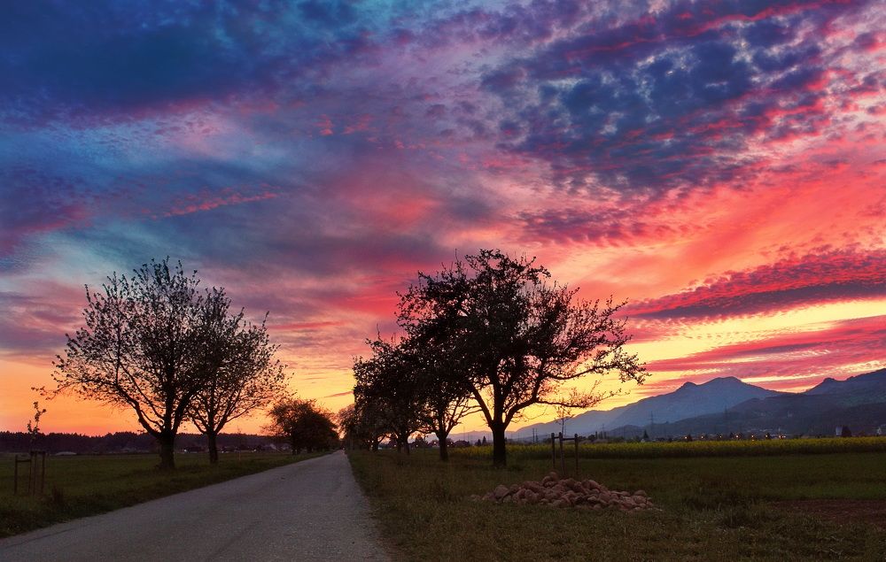 Photograph by Elena Wymann