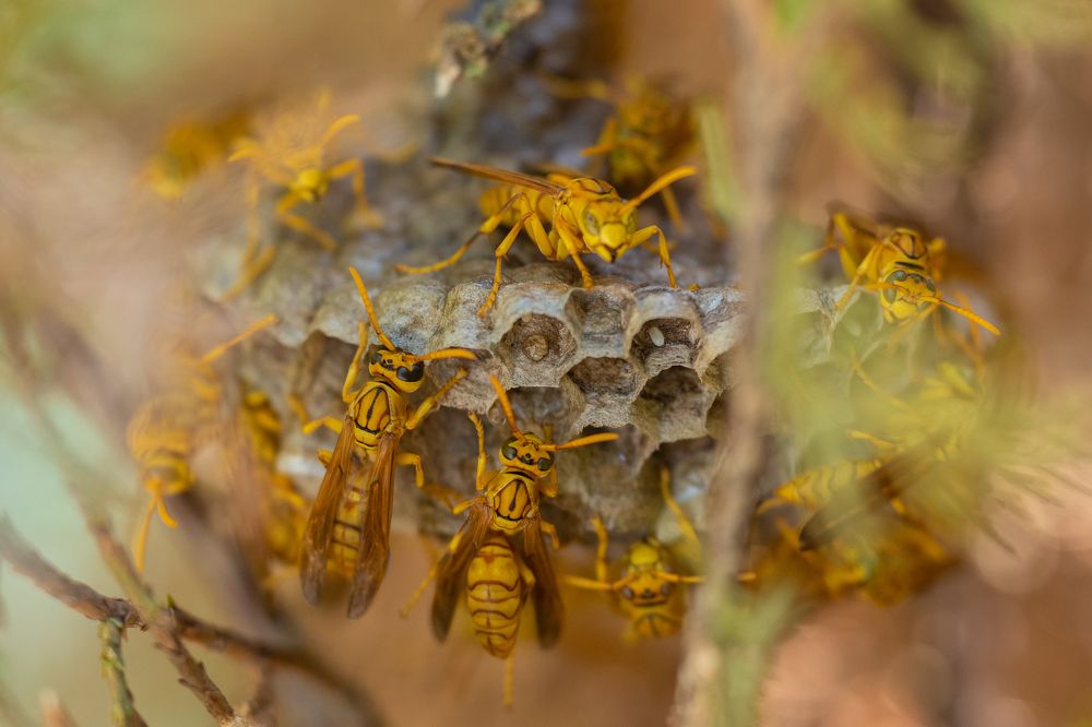 Photograph by Nabarun Majumdar