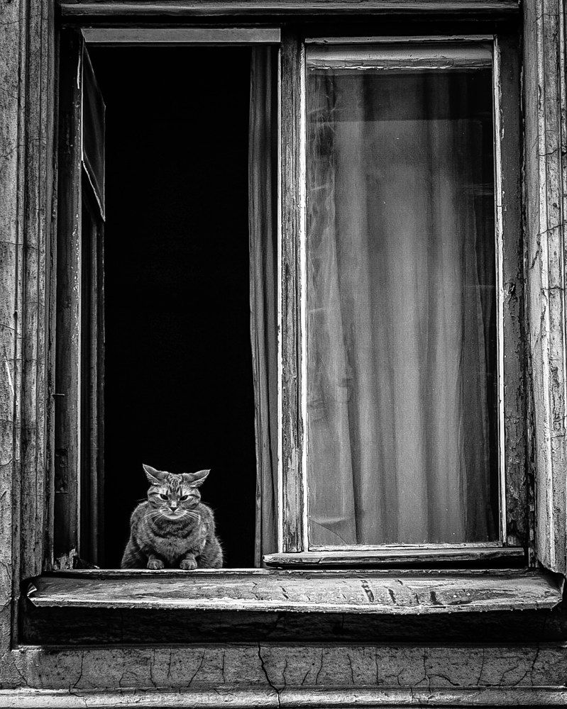 Photograph by Eivind Khagen