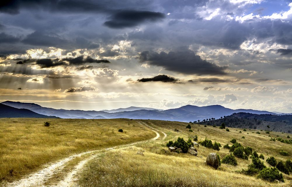 Фотография автора Milena Ivanova