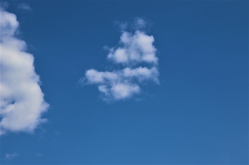 Photograph by Федоренко Элеонора