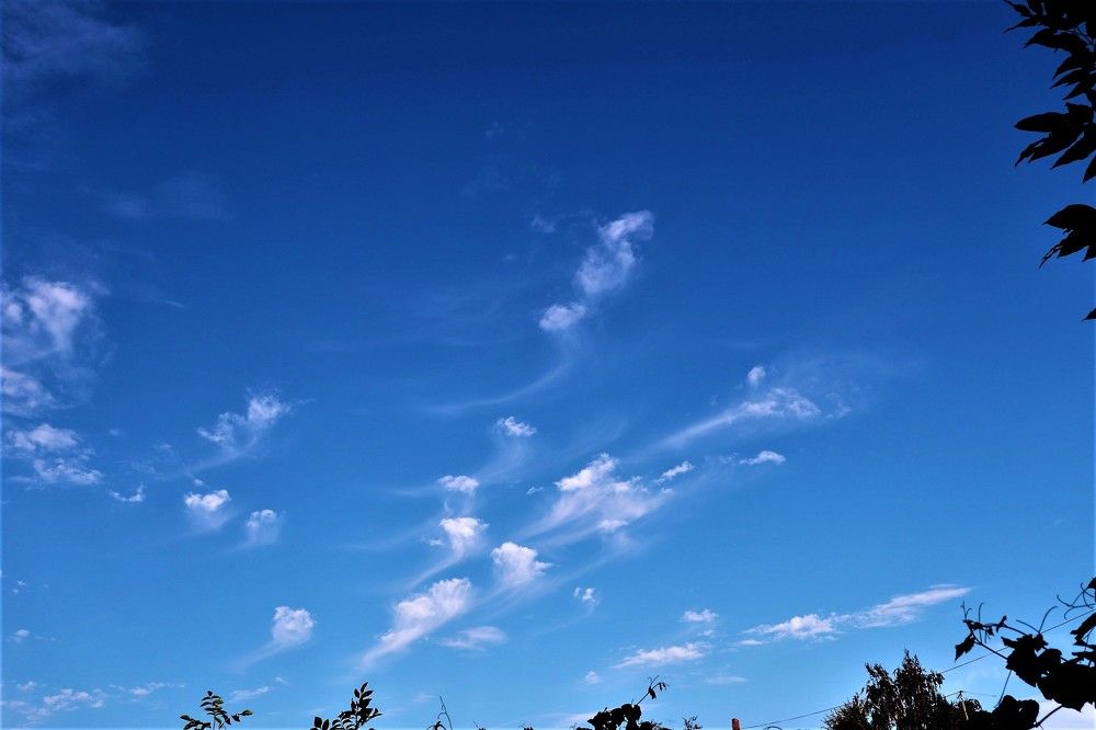 Photograph by Федоренко Элеонора