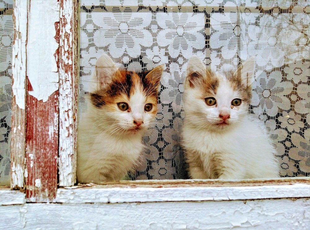 Photograph by Федоренко Элеонора