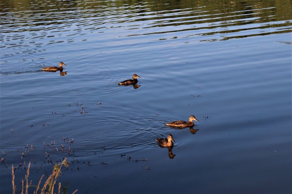 Photograph by Федоренко Элеонора