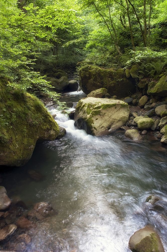 Photograph by Сергей Васин