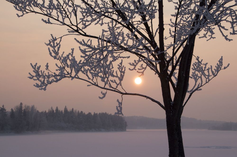 Photograph by Guntars